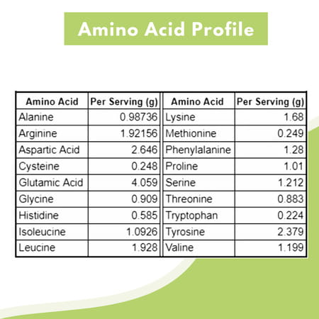 Plantvita Fuel Essential Protein - 1kg Jar Double Chocolate