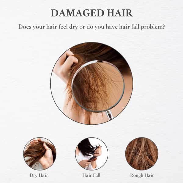 Onion Hair Oil (200Ml)