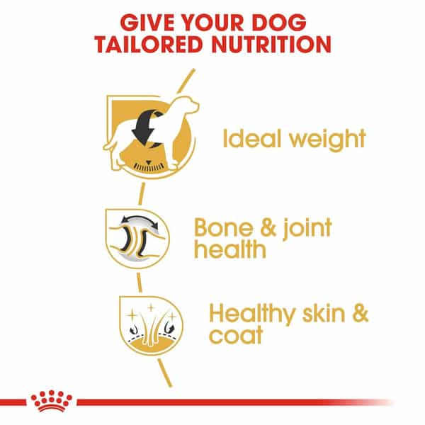 Royal Canin Labrador Retriever | Dog Food | 12 Kg | Dry Food