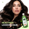 Indus Valley Bio Organic Growout Hair Oil-500Ml