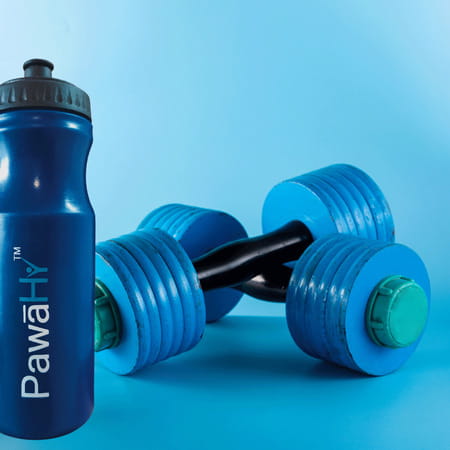 Pawahy Sipper Bottle 1-Piece 700ml Blue