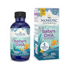 Nordic Naturals Baby Dha Supplement 1050Mg Omega-3 Fish Oil Epa & Dha + 300 Iu Vitamin D3 60 Ml