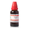 Dr. Willmar Schwabe India Hamamelis Virginica Mt 30Ml