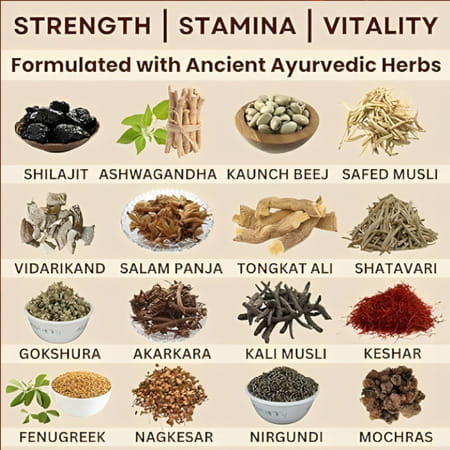 Cipzer Majoon-E-Shabab For Vigor & Vitality Boosts Stamina For Men Jar 500 Gm