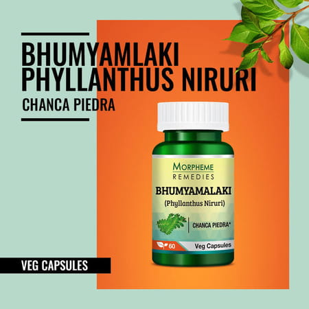 Morpheme Remedies Phyllanthus Niruri Bhumyamlaki 500 Mg - 60 Veg Capsules