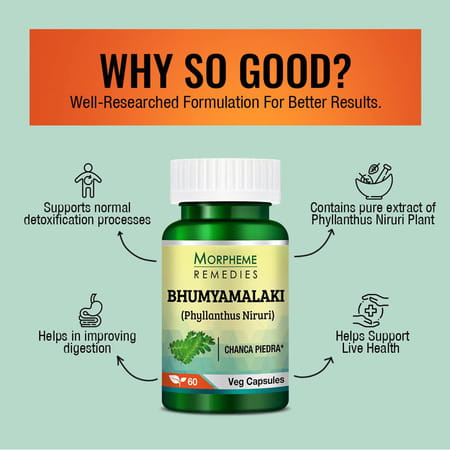 Morpheme Remedies Phyllanthus Niruri Bhumyamlaki 500 Mg - 60 Veg Capsules