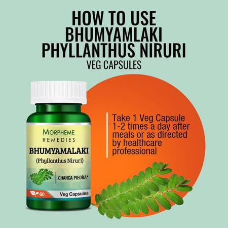Morpheme Remedies Phyllanthus Niruri Bhumyamlaki 500 Mg - 60 Veg Capsules