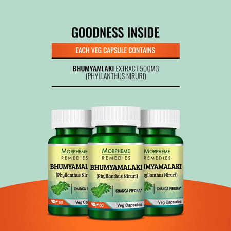Morpheme Remedies Phyllanthus Niruri Bhumyamlaki 500 Mg - 60 Veg Capsules