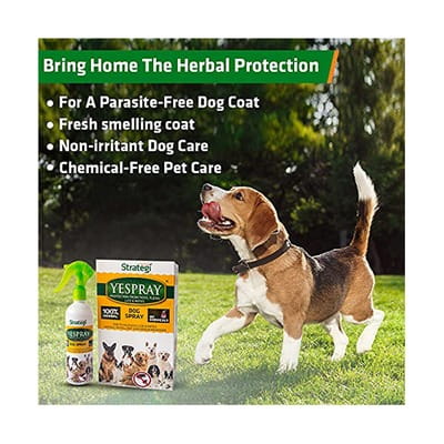 View product image 3