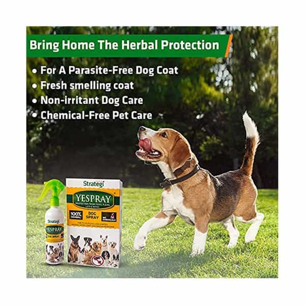Herbal Strategi Yespray Dog Spray 200 Ml