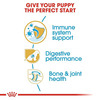 Royal Canin German Shepherd Puppy Food | 3 Kg | Dry Food | Supports Digestive Health