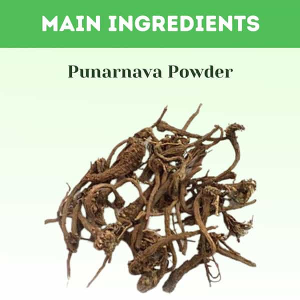 Ayurvedic Life Punarnava Powder - 1 Kg Value Pack Of 2