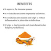 Bixa Botanical Turmeric Forte 60 Veg Capsules (450Mg)-Supports Healthy Immunity