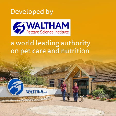 Pedigree Biscrok With Chicken 900 Gm