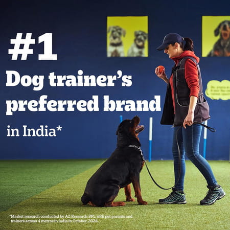 Pedigree Biscrok With Chicken 900 Gm