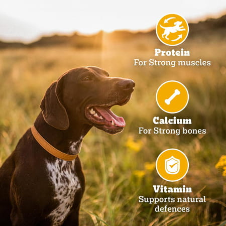 Pedigree Biscrok With Chicken 900 Gm