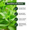 Sugar Fighter Stevia Powder Jar And Sachets Box - Stevia - Combo - (100 Grm + 25 Sachets Box)