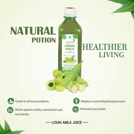 Axiom Louki Amla Juice - 500ml