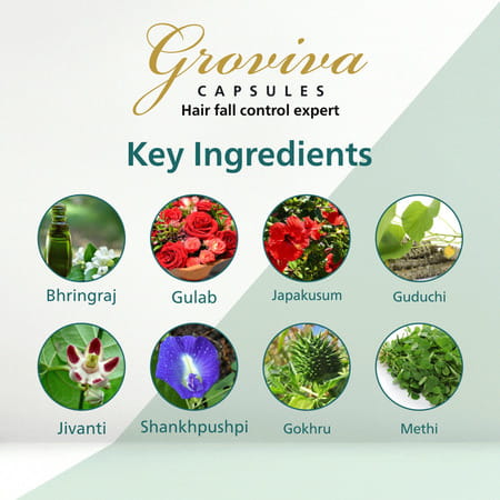 Groviva Hair Care Capsules (60 Caps) (Pack Of 1)