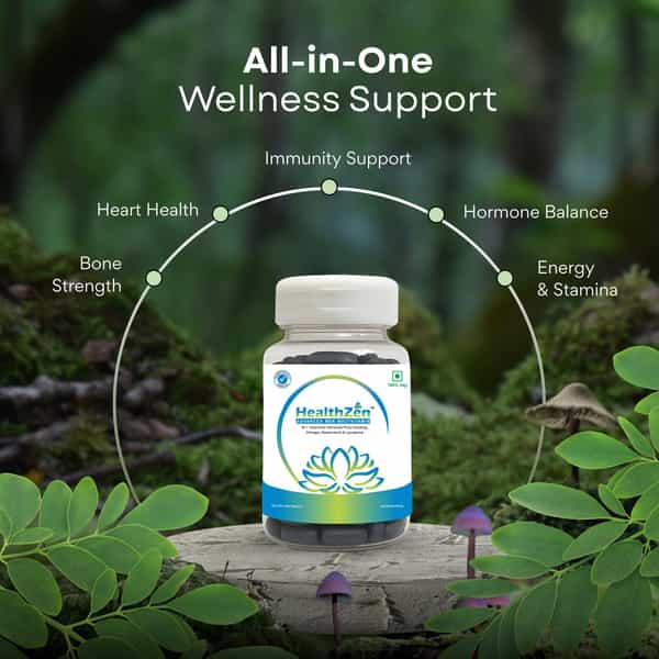 Healthzen Men Multivitamin Tablet - 30N
