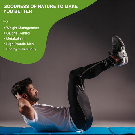 Vegan Greens Men Diet Meal In A Shake With Ayurvedic Herbs- Meal Replacement Shake (500G, Chocolate)