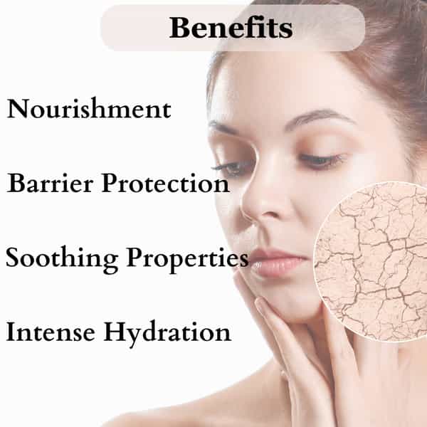 Dermistry Sensitive & Dry Skin Moisturizer Cream & Safe Mild Gentle Creamy Based Face Wash For Women
