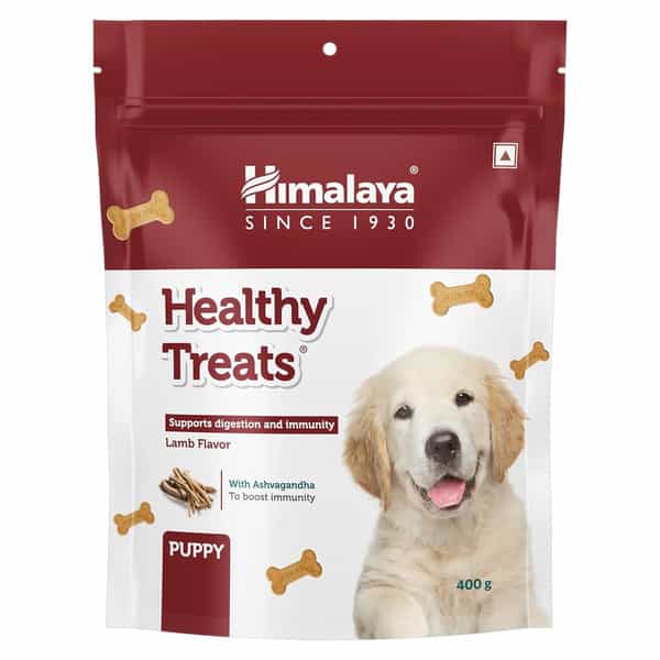 Himalaya Lamb Flavour Healthy Puppy Dog Treats (400G)