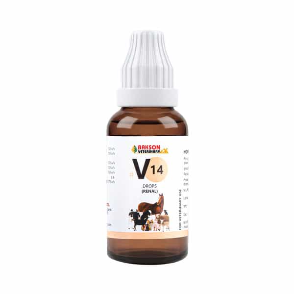 Bakson Veterinary V4 Drops | Renal | For Veterinary Use | 30 Ml