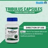 Healthvit Tribulus Terrestris Powder 250 Mg -60 Capsules