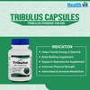 Healthvit Tribulus Terrestris Powder 250 Mg -60 Capsules