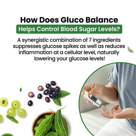 Vlado'S Himalayan Organics Plant Based Gluco Balance - 60 Veg Tablets