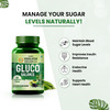 Vlado's Himalayan Organics Plant Based Gluco Balance - 60 Veg Tablets