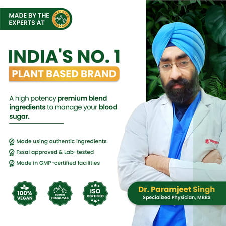 Vlado'S Himalayan Organics Plant Based Gluco Balance - 60 Veg Tablets