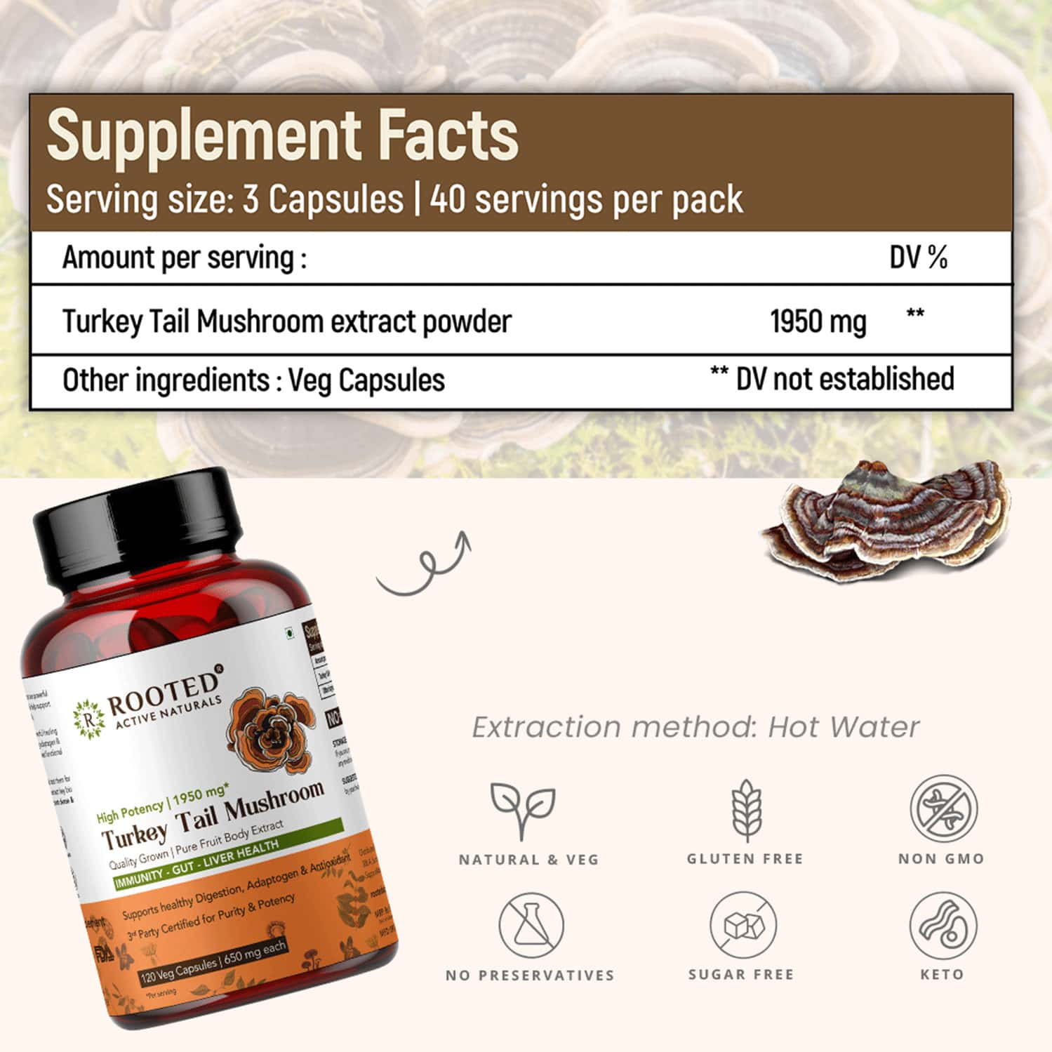 Buy ROOTED ACTIVES TURKEY TAIL MUSHROOM EXTRACT 1950MG* PURE FRUIT