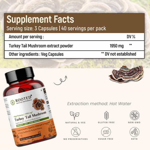 Rooted Actives- Turkey Tail Mushroom Extract 1950Mg* -Pure Fruit Body Extract - 120 Veg Caps