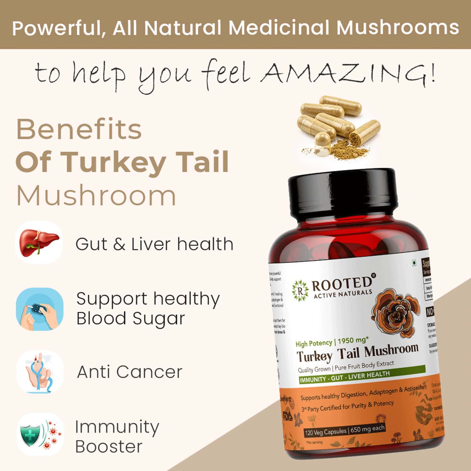 Buy ROOTED ACTIVES TURKEY TAIL MUSHROOM EXTRACT 1950MG* PURE FRUIT