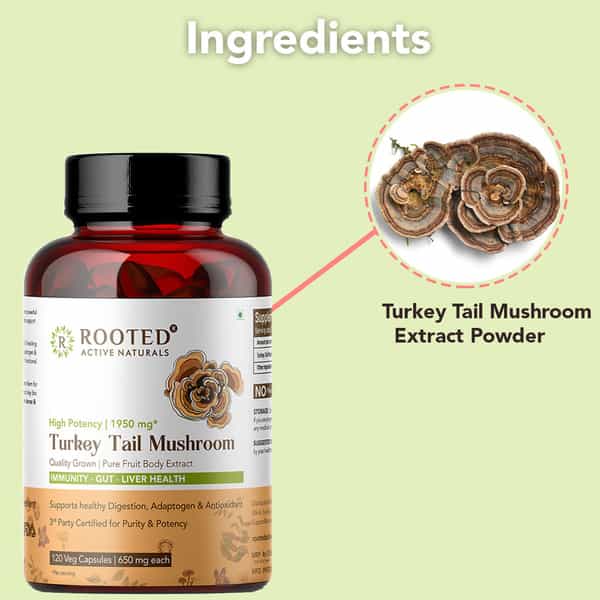 Rooted Actives- Turkey Tail Mushroom Extract 1950Mg* -Pure Fruit Body Extract - 120 Veg Caps