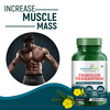 Healthmeds Tribulus Terrestris With Gokshura Extract | For Strength & Muscle Growth | 60 Capsules