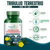 Healthmeds Tribulus Terrestris With Gokshura Extract | For Strength & Muscle Growth | 60 Capsules