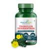Healthmeds Tribulus Terrestris With Gokshura Extract | For Strength & Muscle Growth | 60 Capsules