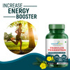 Healthmeds Tribulus Terrestris With Gokshura Extract | For Strength & Muscle Growth | 60 Capsules