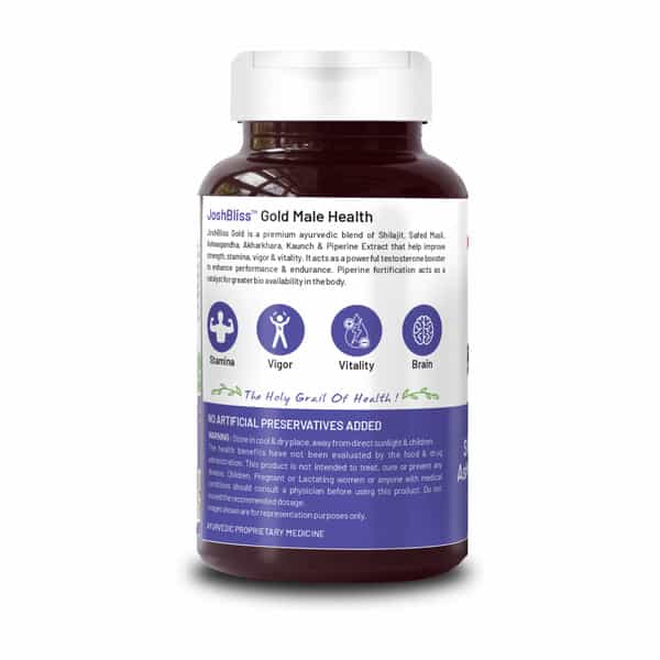 Bliss Welness Testosterone Booster | Shilajit | Ashwagandha | | Safed Musli For Men 60 Veg Tablets