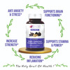 Bliss Welness Testosterone Booster | Shilajit | Ashwagandha | | Safed Musli For Men 60 Veg Tablets