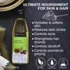 Soulflower Olive Oil (225 Ml) & Castor Oil (225 Ml)