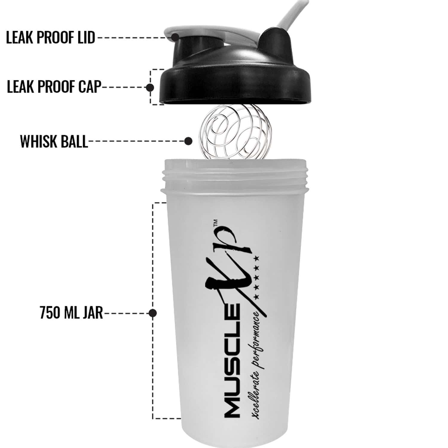 Buy MUSCLEXP GYM SHAKER PERFECT FOR GYM BPAFREE FOR BCAA PROTEIN
