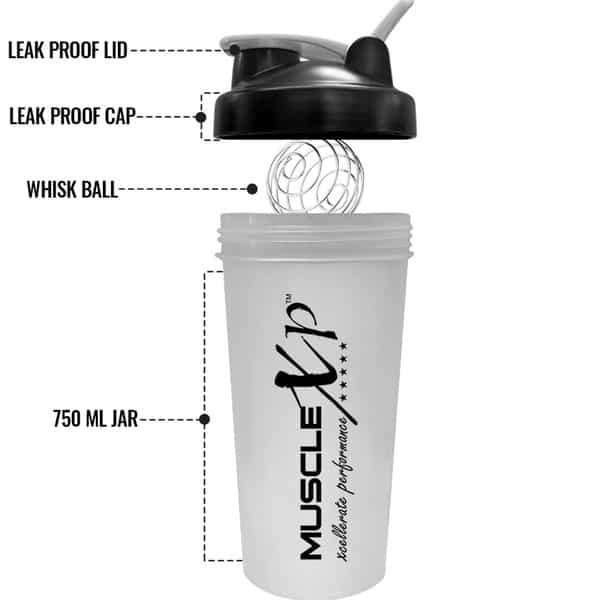 Musclexp Gym Shaker Perfect For Gym | Bpa-Free For Bcaa Protein Mixer & Whisk Ball 600Ml