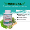 Way2herbal Moringa Leaf Extract Tablets | Detox And Metabolism Support- 120 Tablets