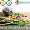 Patco Pharma - Size 3 Green/Purple Empty Gelatin Pill Capsule | Diy Powder Filling (Pack Of 5000)