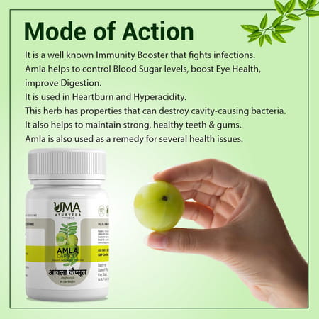 Uma Ayurveda Amla Capsule Ayurvedic Capsules 60 Caps