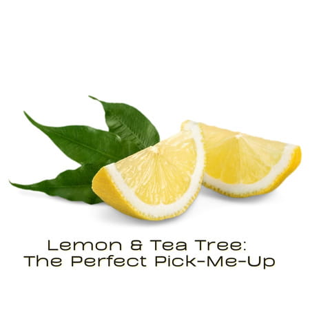 Xpel Marketing Fresh Start Tea Tree & Lemon (Body Wash) 400ml